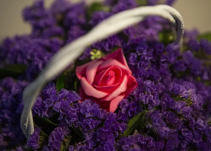 Boutique Melissa 호텔 포레치